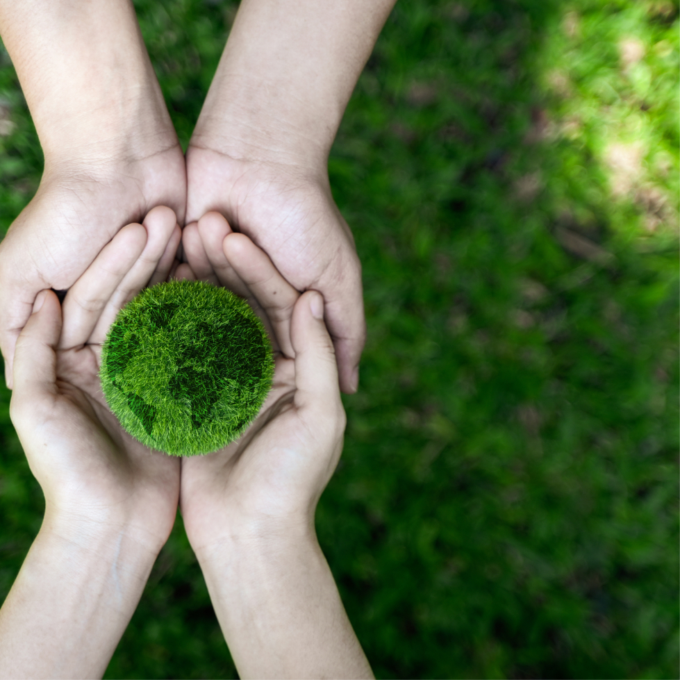 サステナビリティ