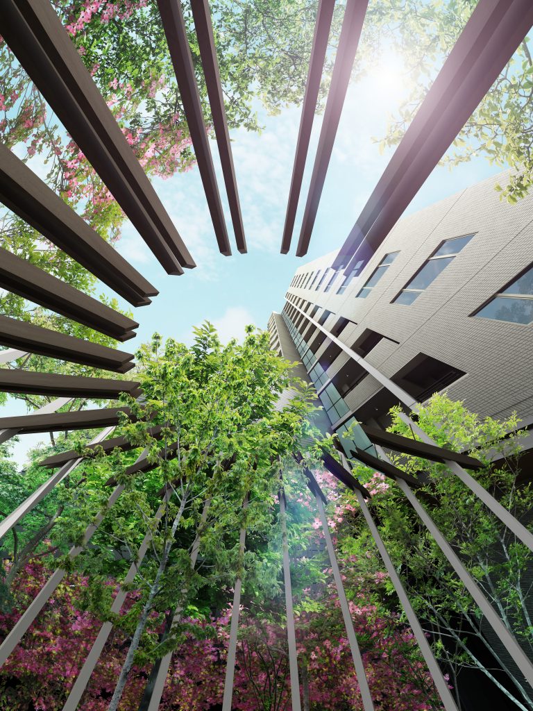 SC呉GR_パーゴラ見上げ_170309