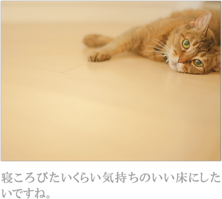 寝ころびたいくらい気持ちのいい床にした いですね。