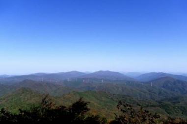 広島には4%しかない・・・