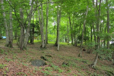 山丸ごとリゾート地